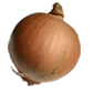 玉葱